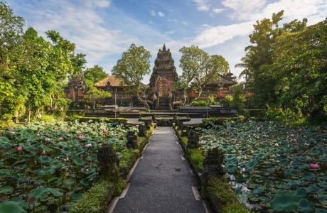 Lotus pond and Pura Saraswati temple in early morning, Ubud, Bali, Indonesia.